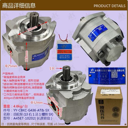 叉车配件 齿轮泵(13右1法1螺前A45E7-10202长源昇信CBKC-G436-