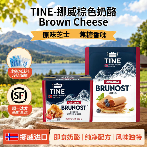 TINE挪威进口棕奶酪原味焦糖芝士