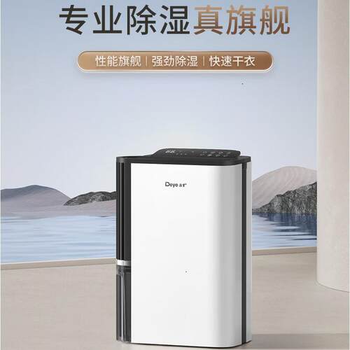 德业除湿机家用别墅静音抽湿机客厅衣柜地下吸湿除湿器DYD-T22A3