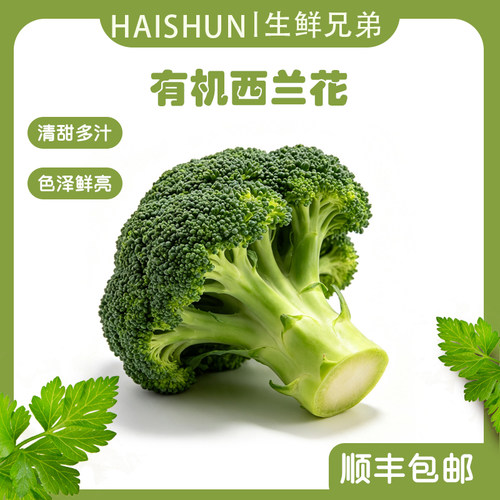 顺丰包邮 新鲜西兰花清甜多汁绿意蔬菜时令食材