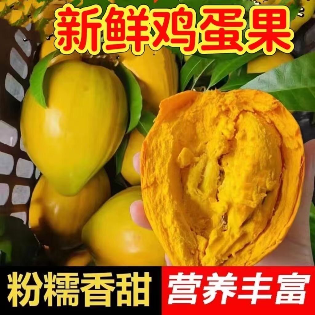 云南特产西双版纳新鲜鸡蛋果