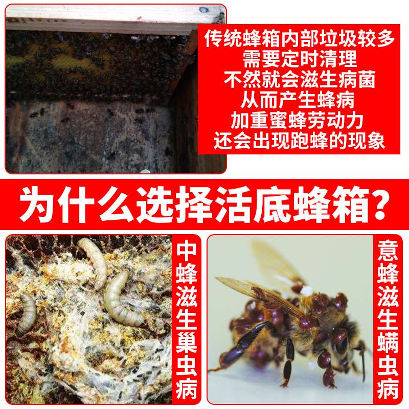 蜂大哥活底蜂箱中蜂全套十框七框标准杉木板煮蜡蜂桶养蜜蜂箱