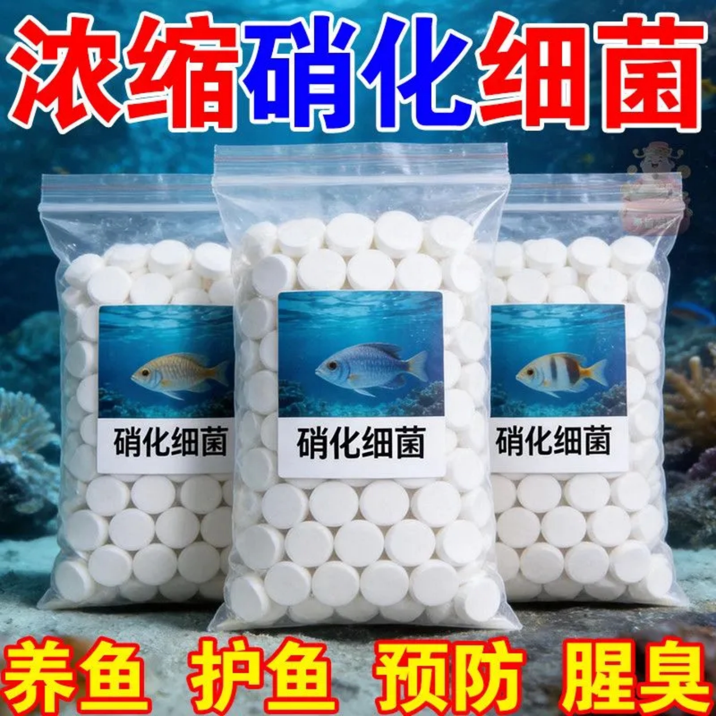 浓缩硝化细菌片养鱼护鱼预防腥臭水质调节剂高效净水杀菌净化水质