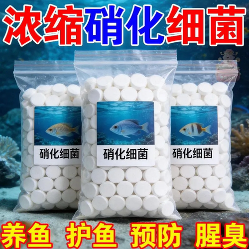 浓缩硝化细菌片养鱼护鱼预防腥臭水质调节剂高效净水杀菌净化水质