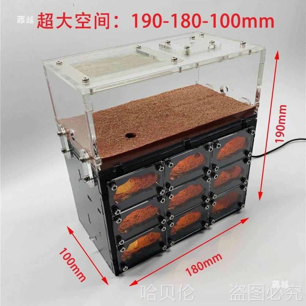 蚂蚁箱堡带夜灯饲养盒豪华宠物蚂蚁工坊亚克力沙巢蚁巢