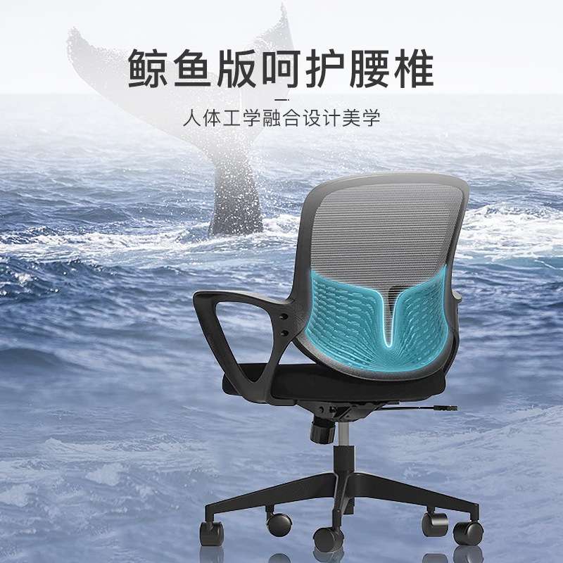 工学椅护腰办公椅可升降防爆人体工学转椅舒适电脑椅