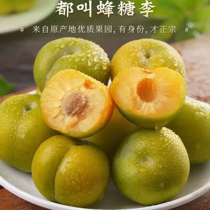 【预售 七天内发货】贵州核心产区正宗蜂糖李现采现发专线发货