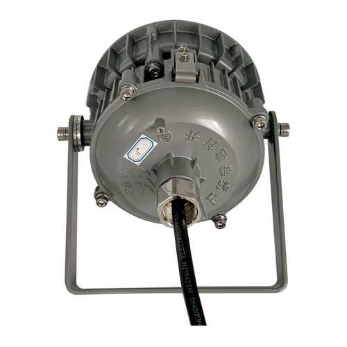 NFC9190LED 平台灯 30W50W NFE9190 应急平台灯 电厂三防泛光灯