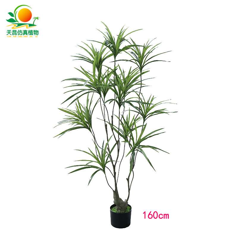 仿真绿植仿真吊兰盆栽酒店家居橱窗装饰新品仿真龙血树仿真植物