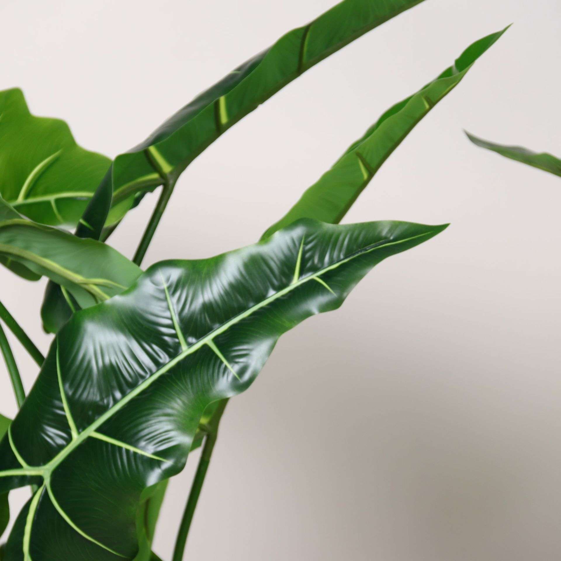 新款仿真海芋绿植盆栽萨利安海芋假树仿真植物室内橱窗造景观装饰