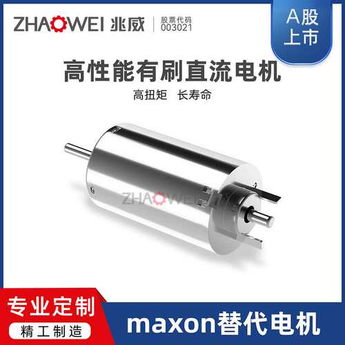 19mm高扭矩直流有刷电机 心脏支持系统高性能电机可代替maxon电机