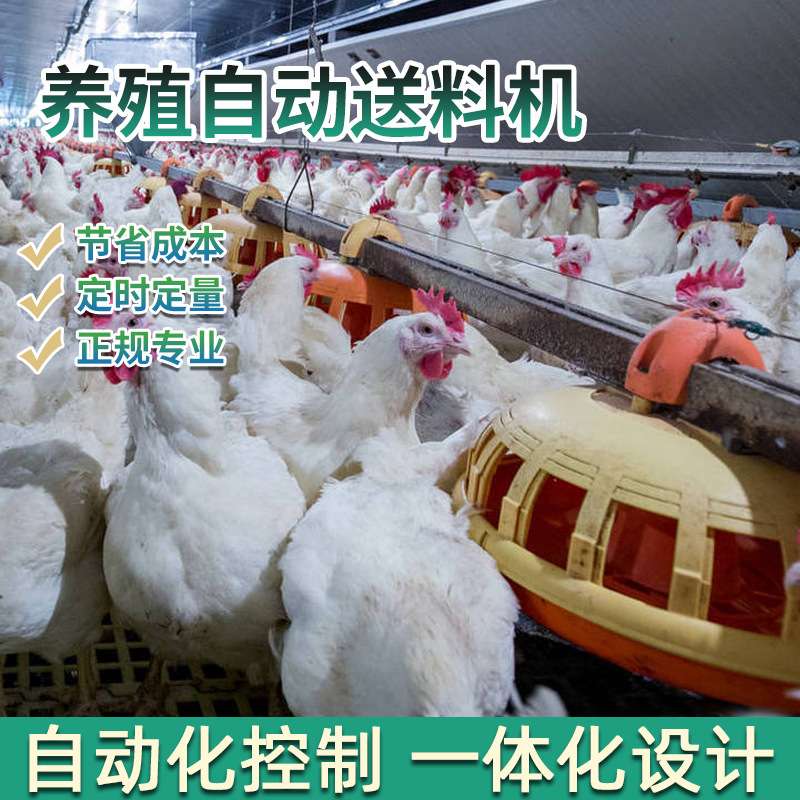 养殖料线水线鸡舍喂食上料机喂鸡用绞龙养殖设备养鸡场自动喂料机