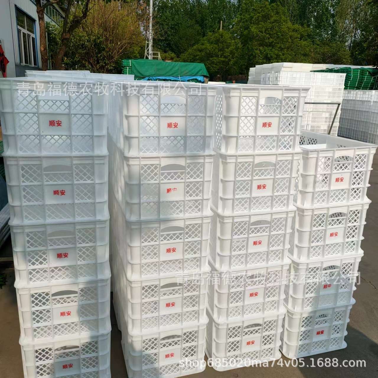 加大号塑料筐 周转鸡蛋筐 鸡蛋框子 加厚耐摔塑料鸡蛋筐