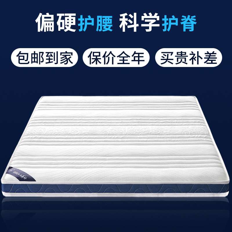 棕垫椰棕床垫环保家用硬护脊天然棕榈经济型床垫子