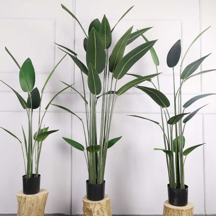 欧式仿真天堂鸟 室内盆栽落地人造植物美人蕉 大型仿真绿植天堂鸟