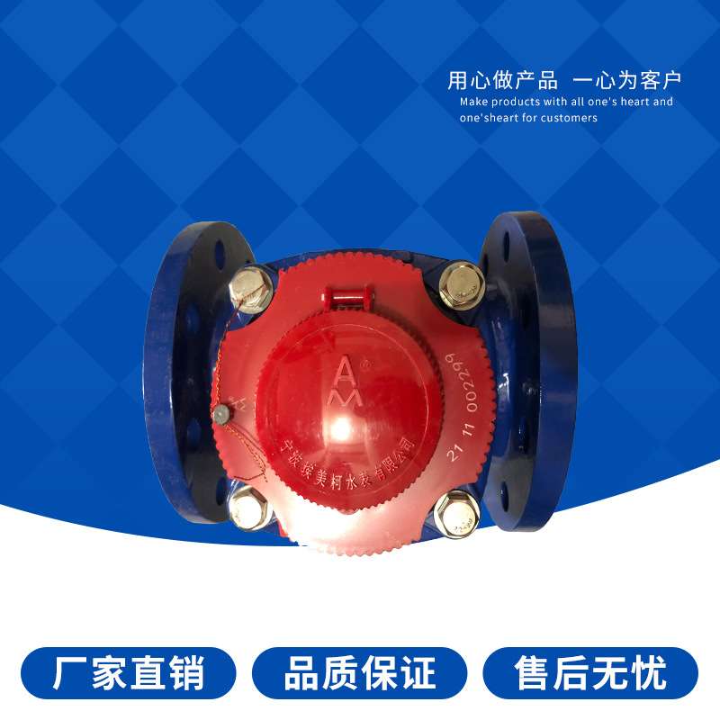 埃美柯螺翼可拆卸干式热水表070铁壳法兰LXLGR DN80 100 150 200
