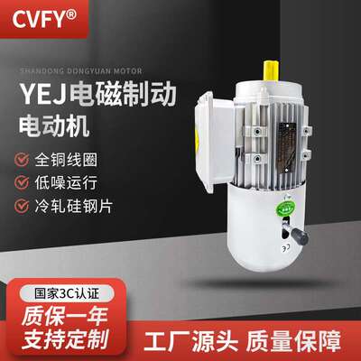 YEJ电磁制动电机 100L1/L2-4极 2.2KW-3千瓦立式刹车三相电动机