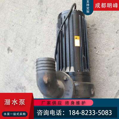 AS型撕裂式污水泵潜污泵潜水排污泵污水提升泵AS10-2 1.1KW搅匀泵