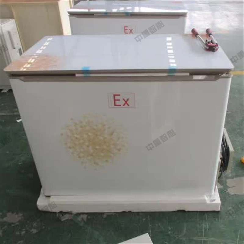 厂家生产单门单温柜式冰箱 工业用防爆冰柜 BCD210柜式防爆冰箱