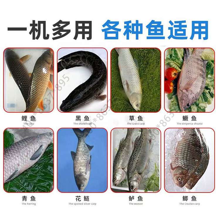 去鳞机全自动除鳞机去鳞机鲤鱼草鱼黑鱼脱鱼鳞机电动商用刮鱼鳞机