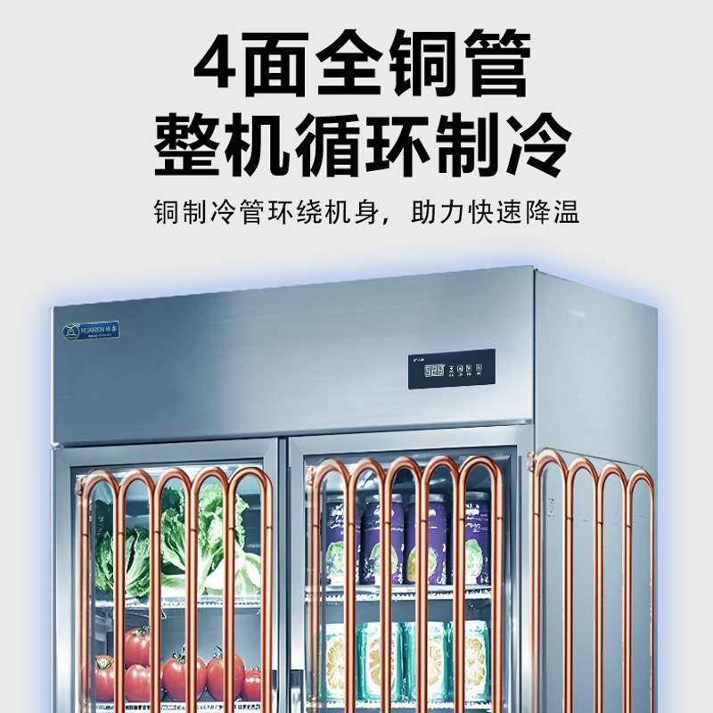 焕鑫风冷冷藏展示柜商用双门冷冻陈列柜啤酒冰箱冷饮柜食品留样柜