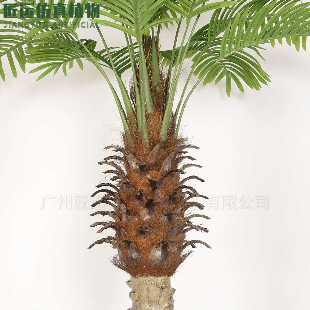 室内软装大型仿真针葵树植物盆栽 塑胶杆针葵树造景葵树仿生植物
