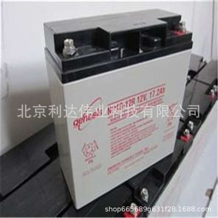 艾诺斯华达霍克蓄电池NP38-12免维护蓄电池12V38AH应急电源 现货