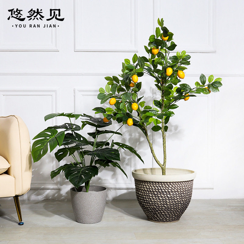悠然见创意家居客厅装饰摆件家庭园艺大口径绿色植物盆栽树脂花盆