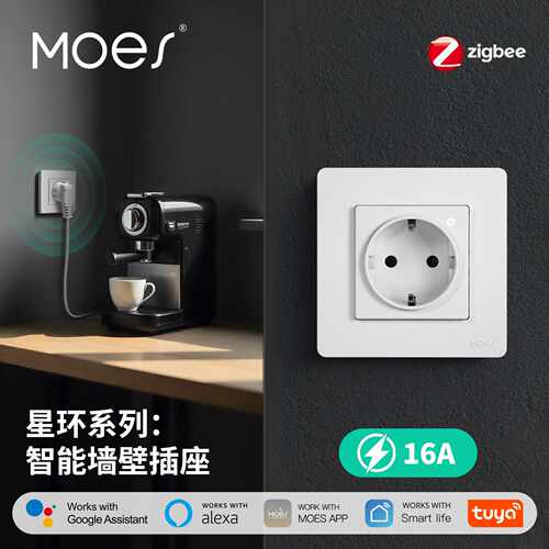 星环私模涂鸦智能家居zigbee智能插座app定时语音欧规墙壁插座