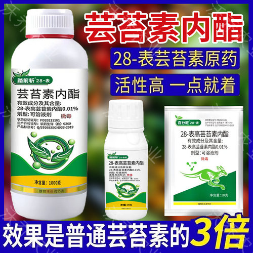 芸苔素内酯植物生长调节剂保花果