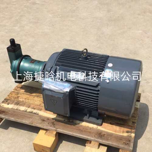 Y2QB液压油泵电机 5HP-4 3.7KW 立式内插式 三相异步电动机