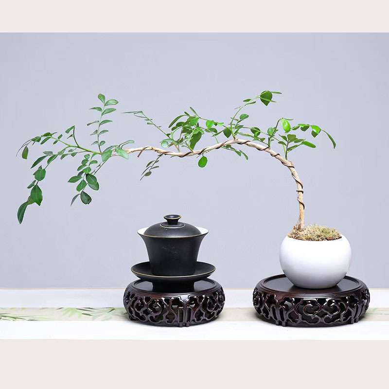 黑檀木整木镂空云海底座花瓶玉器文玩茶具摆件工艺品微型盆景底座
