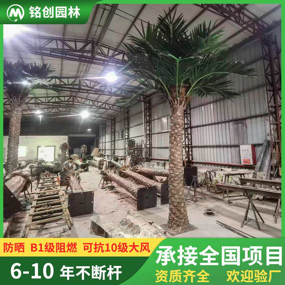 室外防晒仿真中东海枣树 大型人造棕榈树装饰仿真海藻树