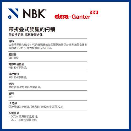 NBK ELESA CQT.AE-V0 闩锁带凹槽钥匙 高科技聚合体 机械配件厂家