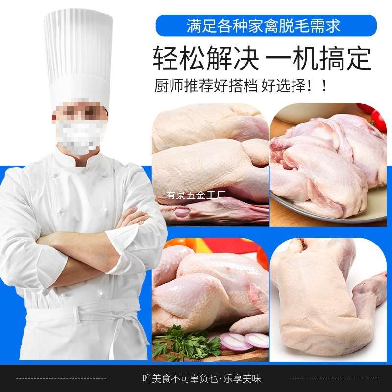 商用三鸟脱毛机鸡鸭鹅电动家禽乳猪去毛拔毛机不锈钢洗番薯土豆机