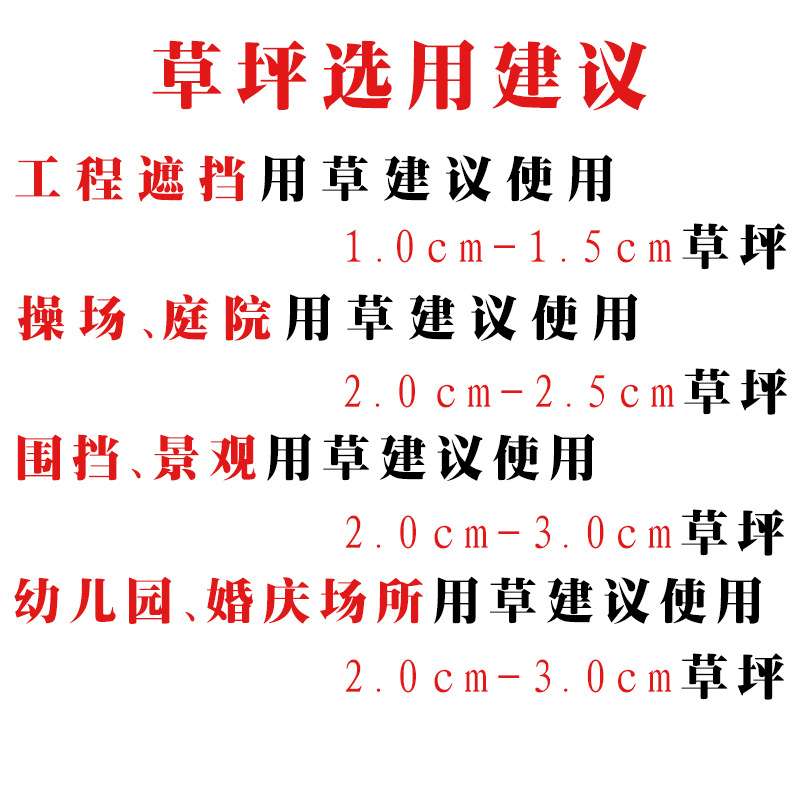 人造仿真草坪地毯 幼儿园草坪婚礼户外草坪人工塑料假草皮