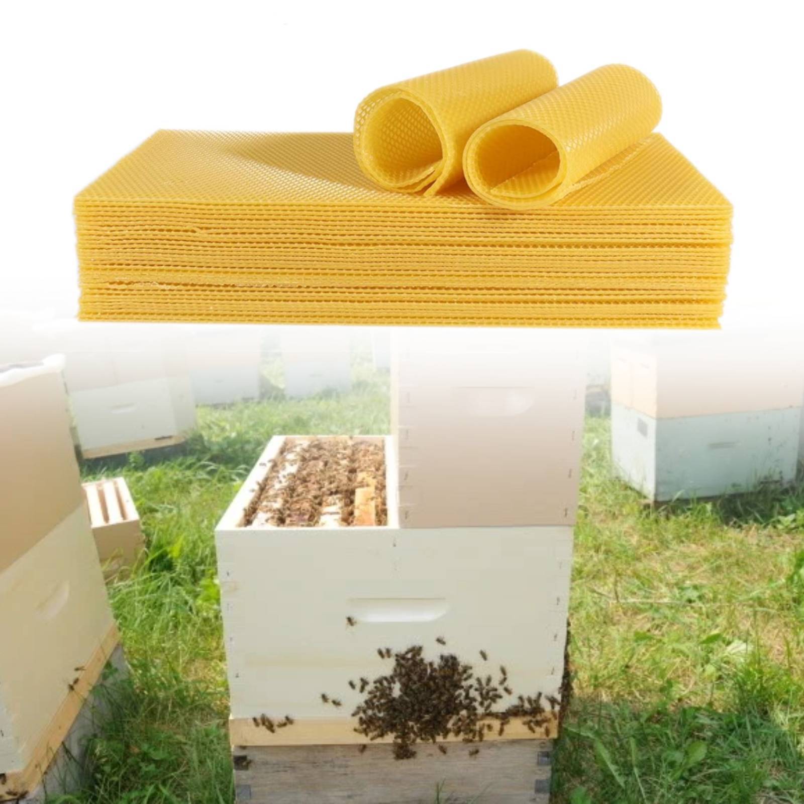 【工厂直供】直销精品高产蜂蜡巢础片中蜂意蜂深房巢础巢基蜂巢