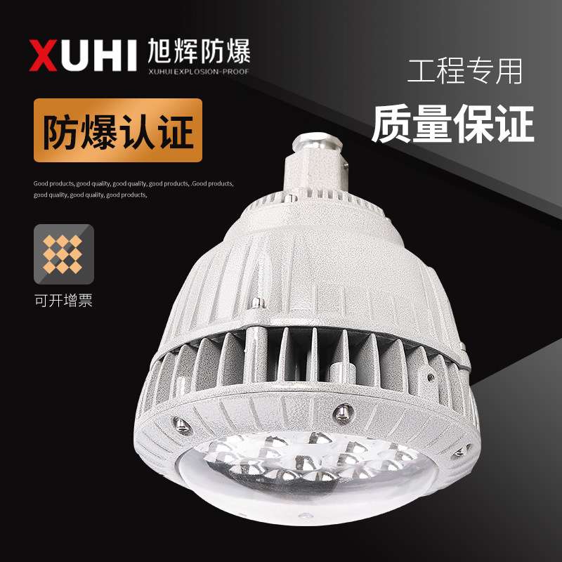 XHD530免维护LED防爆灯20W30W40W50W60W/防爆照明灯/路灯节能超亮