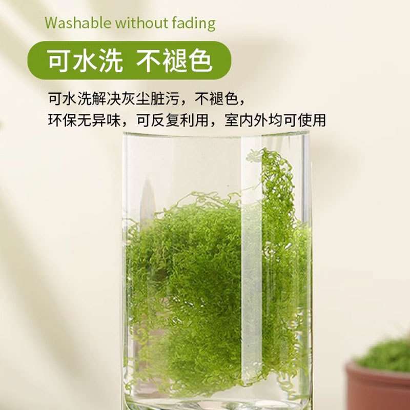 高仿真绿植苔藓青苔造景假草皮微景观布置摆件草坪盆栽盆景