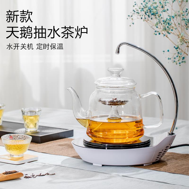 迷你电陶炉煮茶器全自动上水茶具 铸铁烧水壶搭配抽水电磁炉