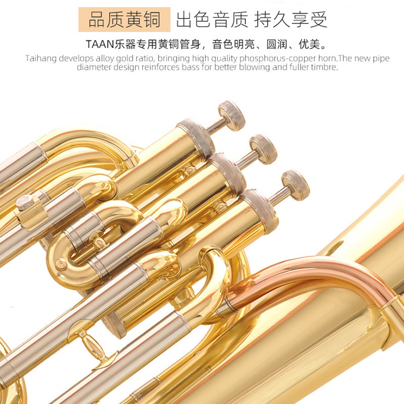 TAAN 降B调三立键次中音号乐器/巴立东/大号/小抱号初学乐团演奏