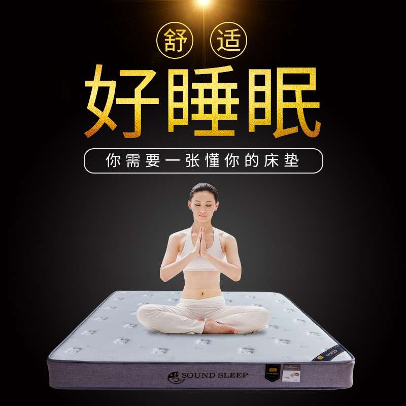 航睿家具椰棕床垫多功能正反两用1.8米床1.5米床乳胶经济型A808