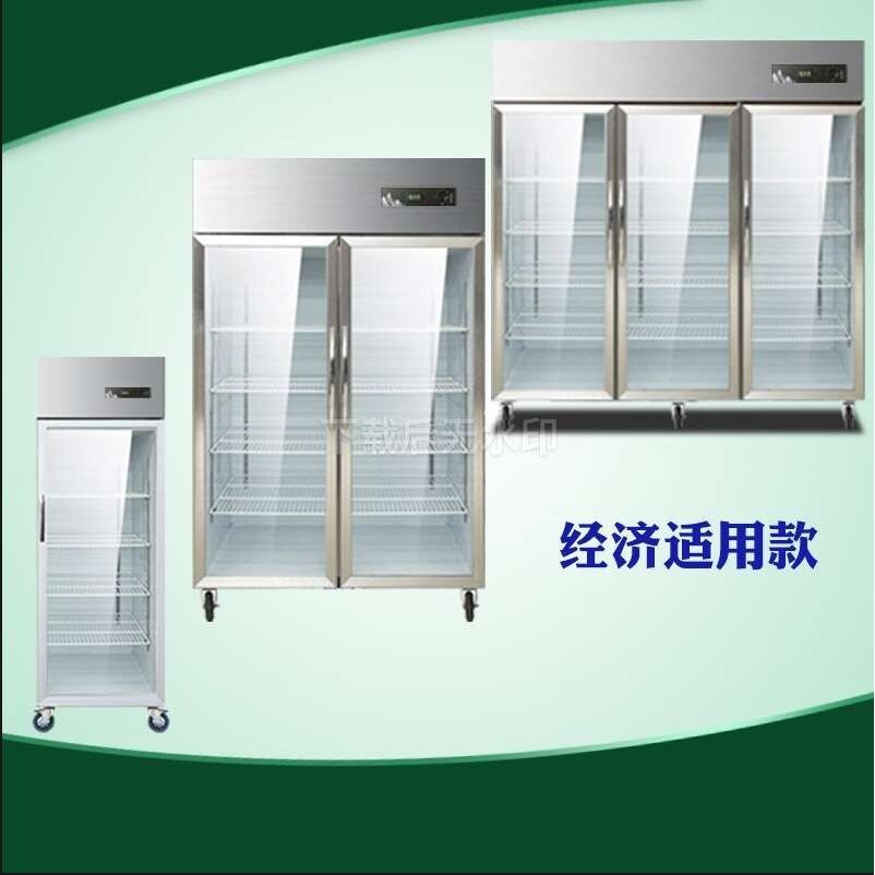 双门三门商用大容量厨房冰箱铜管制冷饮料展示柜立式冰柜玻璃门