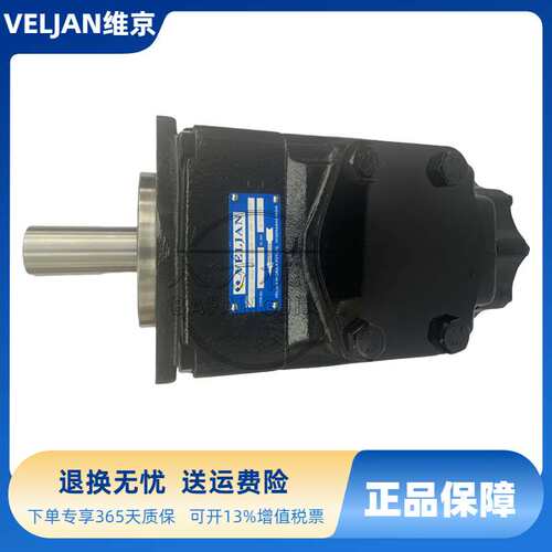 VT6CC-B22-B08-1R00印度维金VELJAN液压油泵B双联泵 维京双连泵