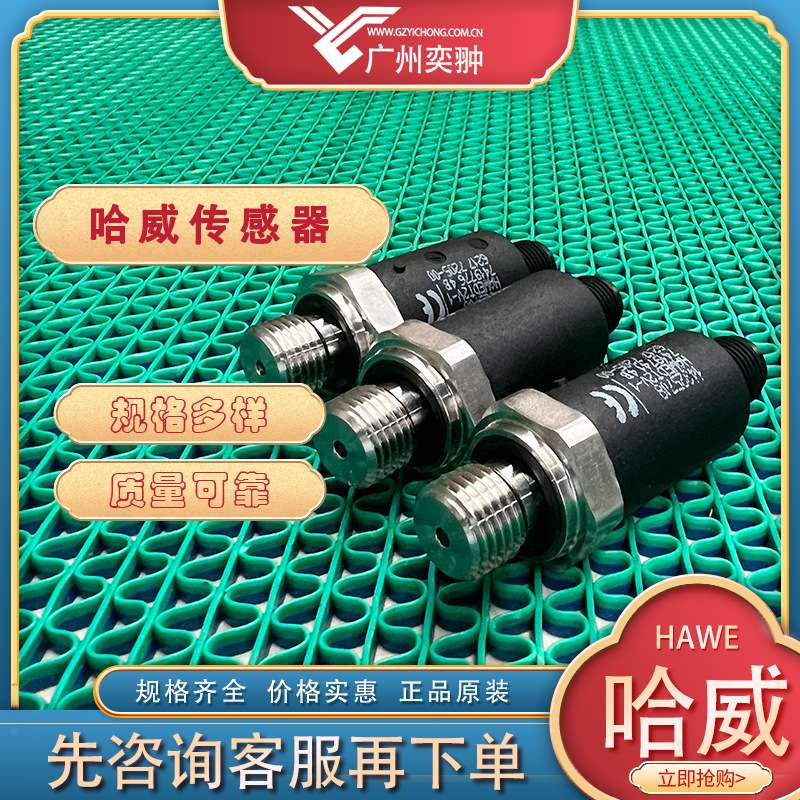 进口HAWE哈威DT 2-1-MSD-T 7压力开关原装供应