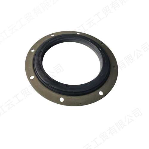 4089902 3090393 3804704康明斯QSK19发动机曲轴后油封Oil seal