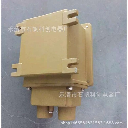 BHS系列防爆正反转开关 BQXN60/100A（大）型防爆倒顺开关.