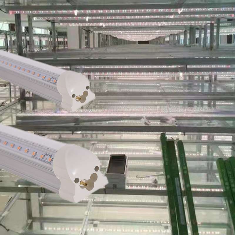 全光谱植物生长灯补光灯LEDT8T5多肉育苗组培灯管代替阳光植物灯