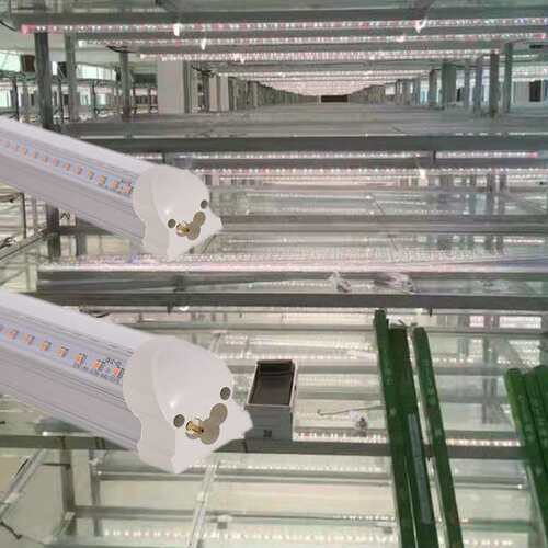 全光谱植物生长灯补光灯LEDT8T5多肉育苗组培灯管代替阳光植物灯