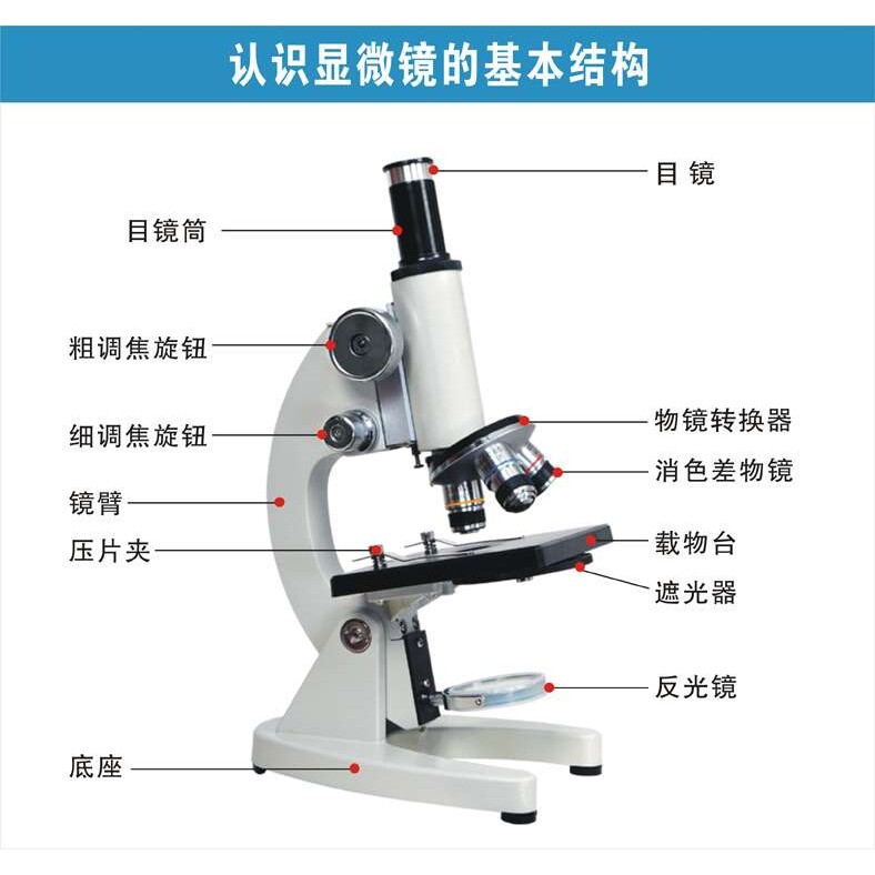 专业显微镜小学科学中学生生物光学便携1600倍显微镜实验套装QS
